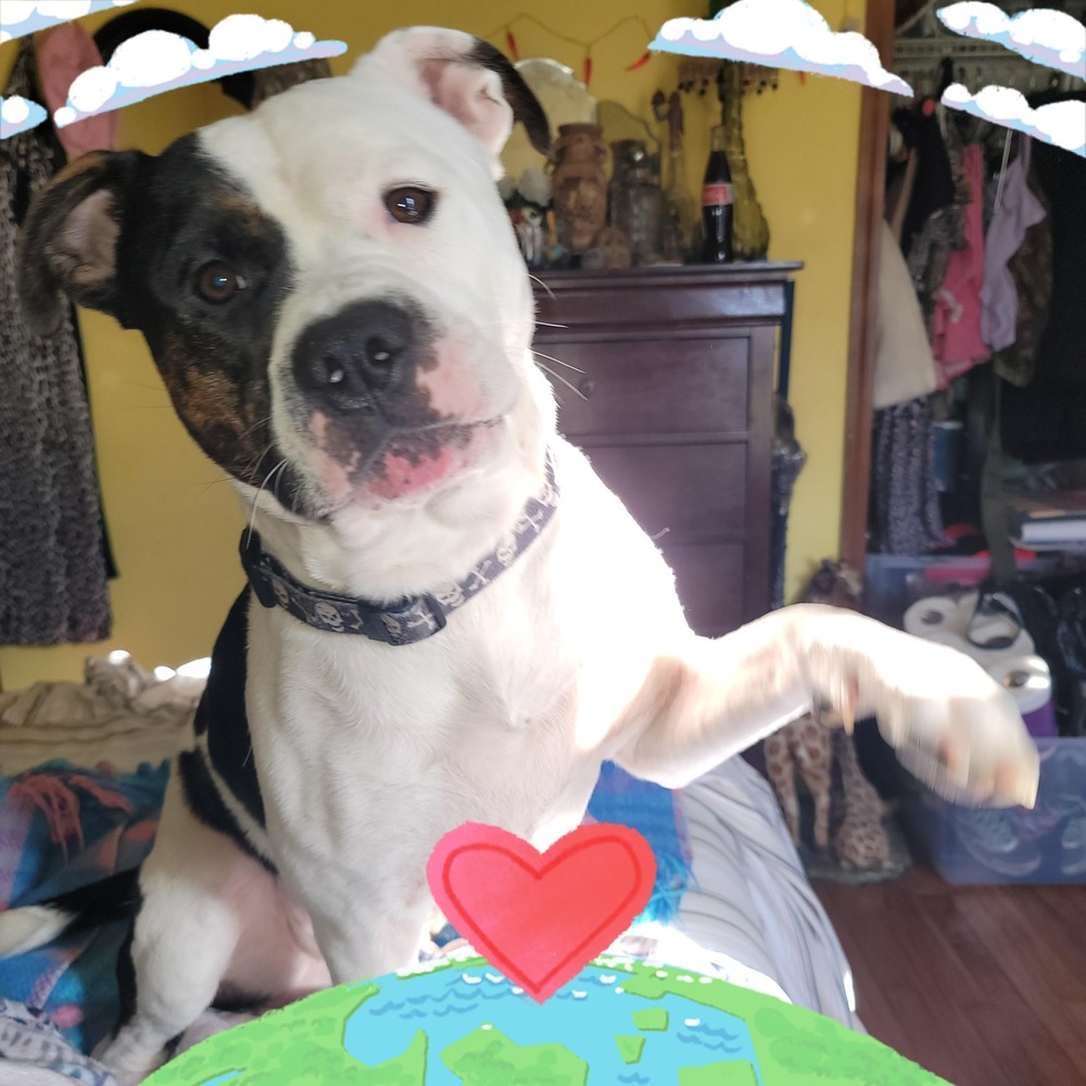 Meet your Posher, Corrie